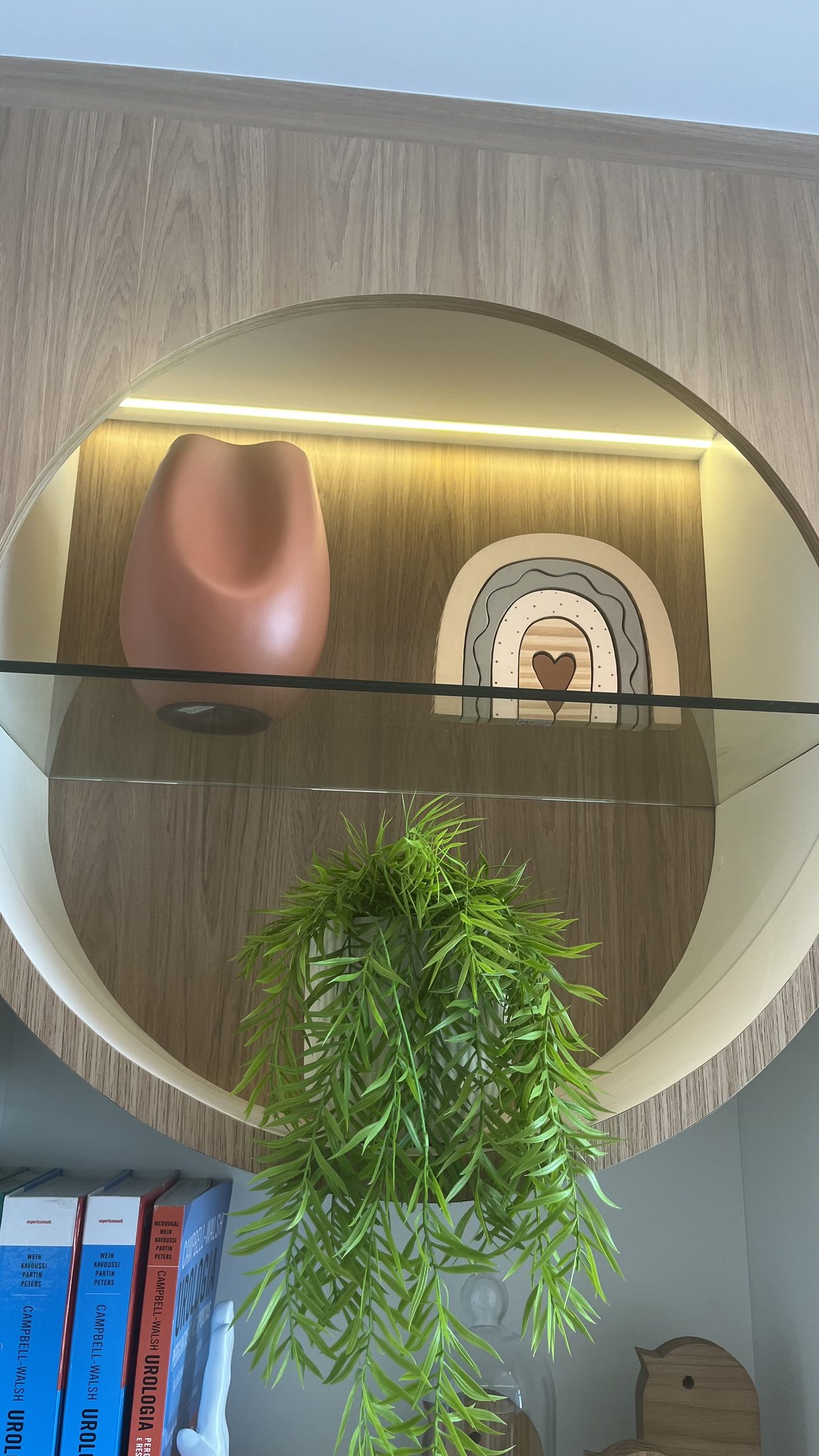 Nicho em arco com prateleira de vidro, objetos decorativos e vegetação pendente